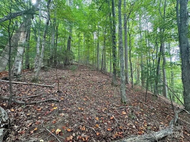 TBD Miller Homestead Rd, Green Mountain, NC 28740 - photo 30