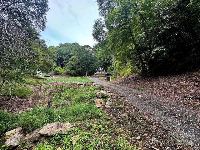 TBD Miller Homestead Rd, Green Mountain, NC 28740 - photo 32
