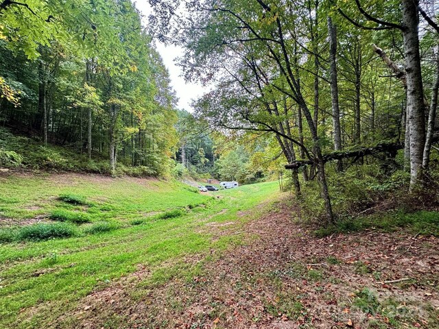 TBD Miller Homestead Rd, Green Mountain, NC 28740 - photo 33