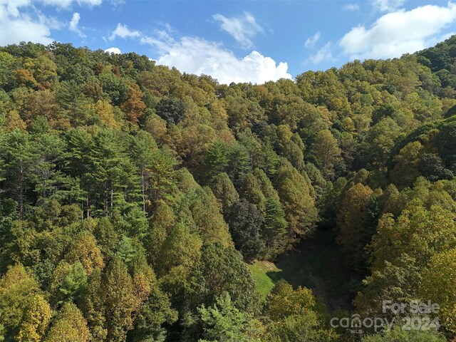 TBD Miller Homestead Rd, Green Mountain, NC 28740 - photo 34