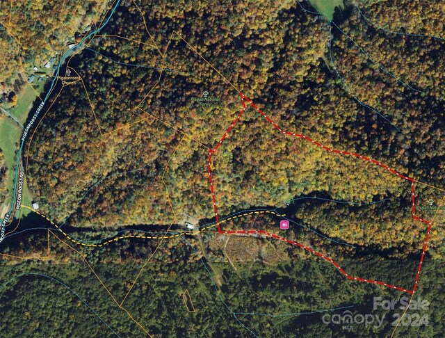 TBD Miller Homestead Rd, Green Mountain, NC 28740 - photo 36