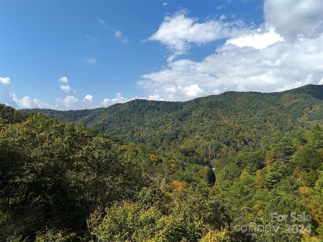 TBD Miller Homestead Rd, Green Mountain, NC 28740 - photo 38