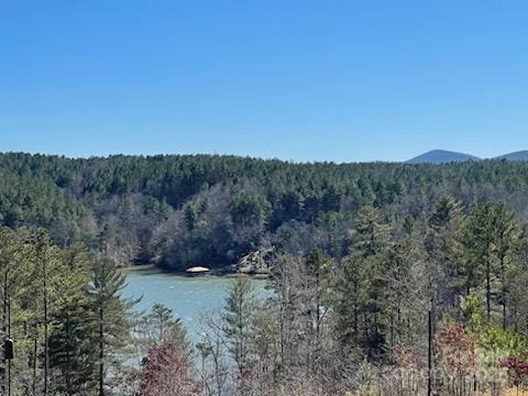 5619 Channel View Cv, Granite Falls, NC 28630