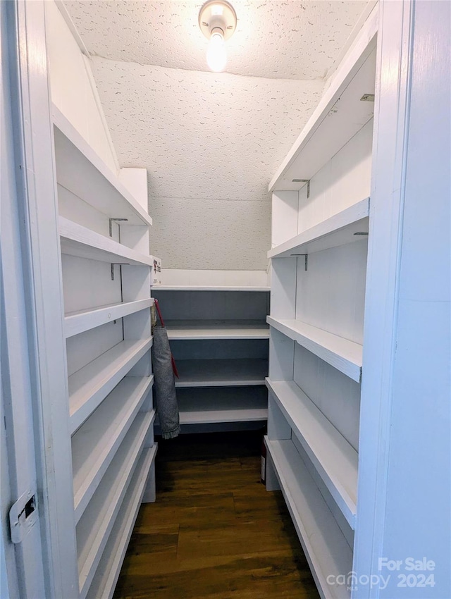 walk in closet featuring dark hardwood / wood-style floors