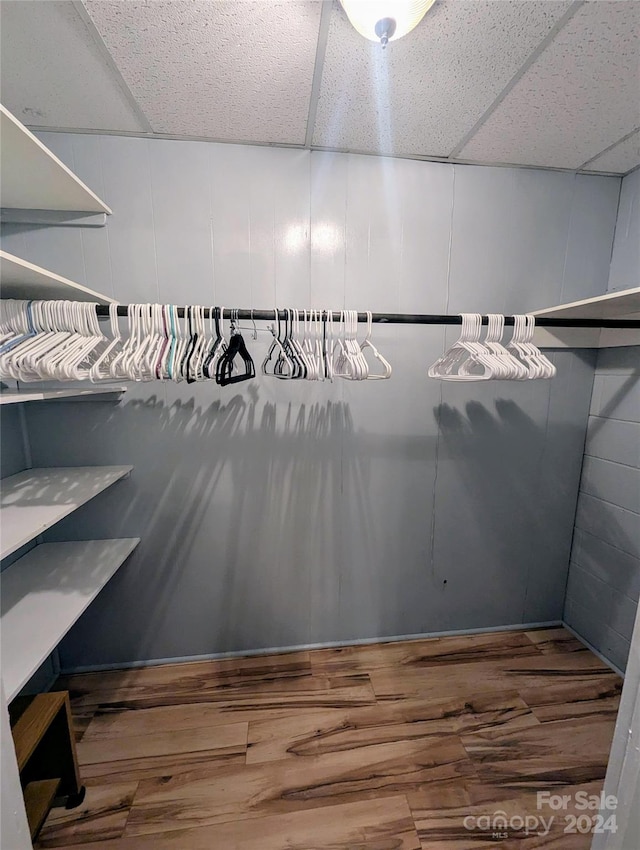 walk in closet with a drop ceiling and wood-type flooring