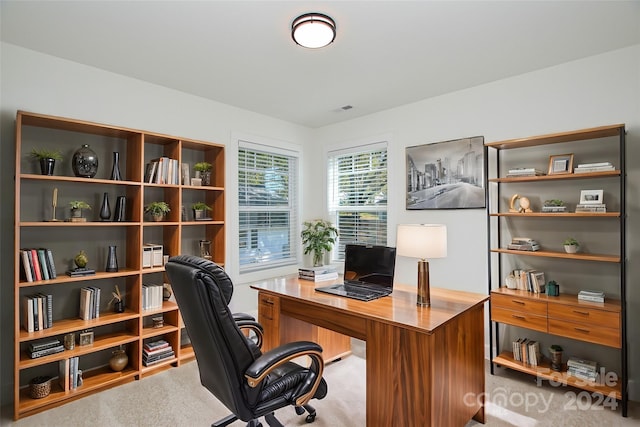 view of carpeted office space