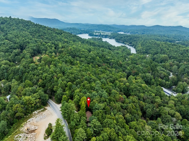 birds eye view of property featuring a water and mountain view