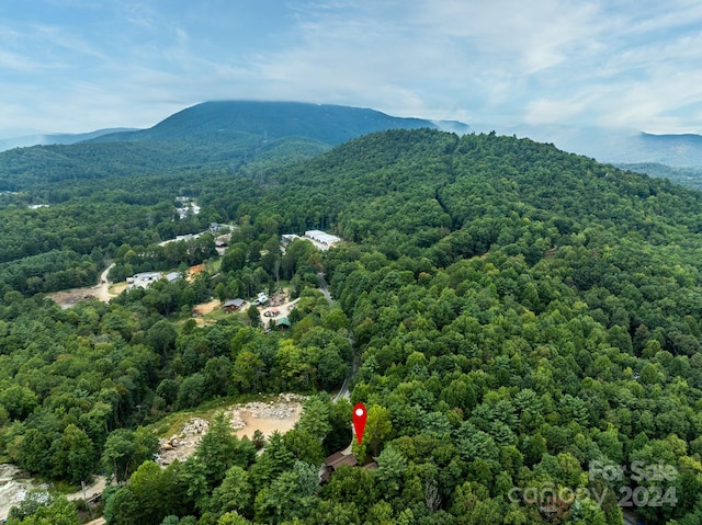 birds eye view of property featuring a mountain view