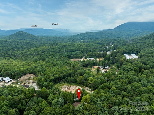 birds eye view of property with a mountain view