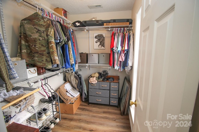 spacious closet with hardwood / wood-style flooring