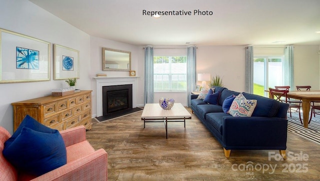 living room featuring a wealth of natural light and dark wood-type flooring