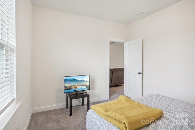 carpeted bedroom with multiple windows