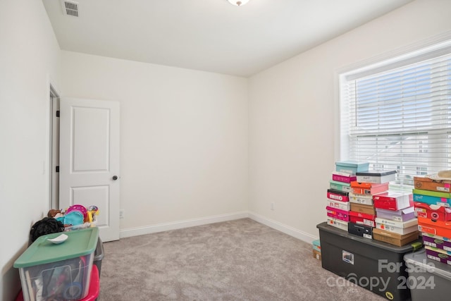 playroom with light carpet