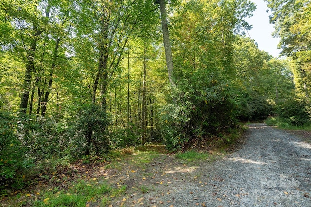 Listing photo 3 for 00 Erwin Hills Dr, Hendersonville NC 28739