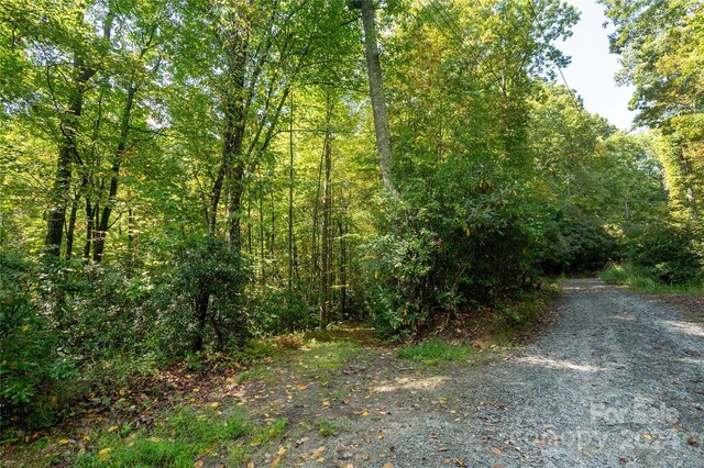 00 Erwin Hills Dr, Hendersonville, NC 28739 - photo 3