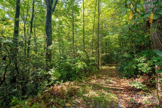 00 Erwin Hills Dr, Hendersonville, NC 28739 - photo 4