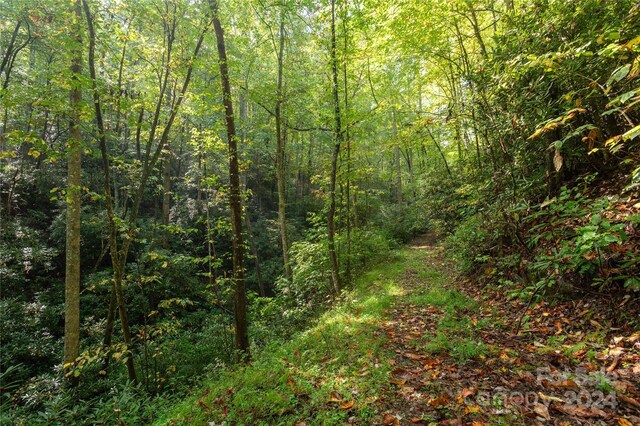 00 Erwin Hills Dr, Hendersonville, NC 28739 - photo 5