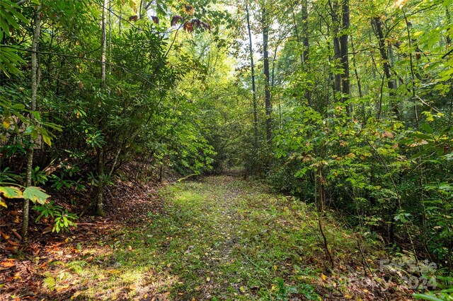 00 Erwin Hills Dr, Hendersonville, NC 28739 - photo 9