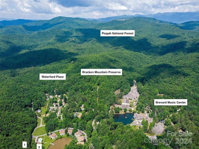 000 Waterford Pl, Brevard, NC 28712
