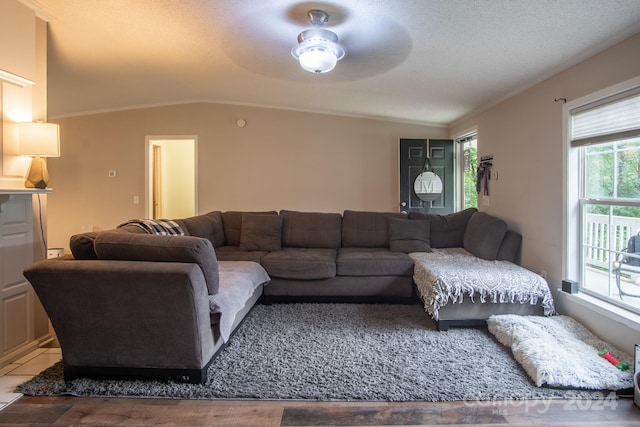 living room with ceiling fan, vaulted ceiling, crown molding, and a textured ceiling