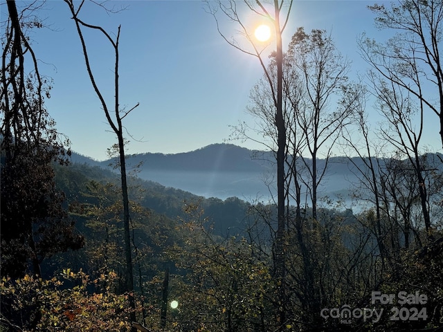 99999 Robinhood Rd, Asheville NC, 28804 land for sale