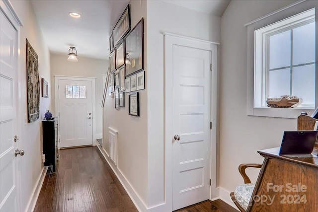 entryway with dark hardwood / wood-style flooring