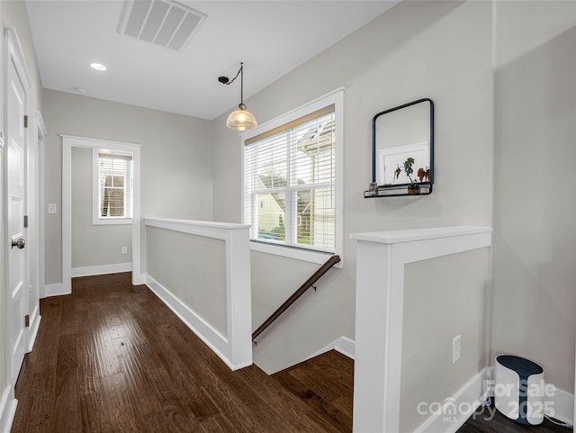 corridor featuring dark hardwood / wood-style floors and a wealth of natural light