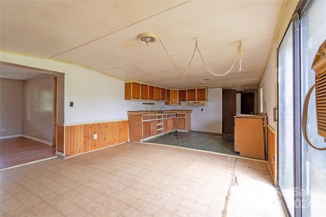 kitchen with wooden walls and sink