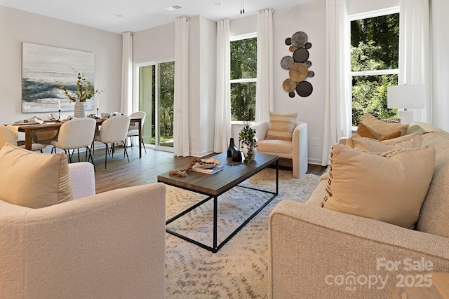 living room with wood-type flooring