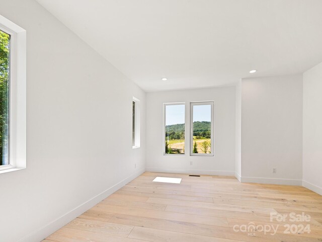 empty room with light wood-type flooring and a wealth of natural light