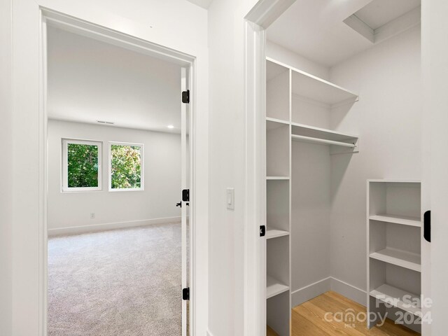 spacious closet featuring light hardwood / wood-style flooring