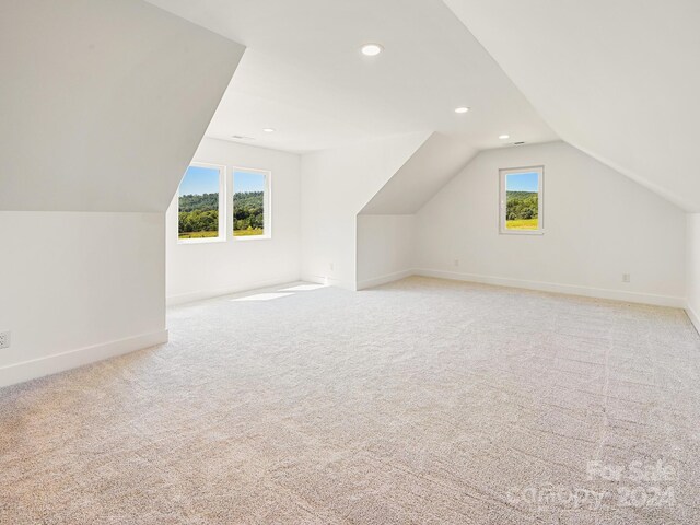 additional living space featuring light carpet and lofted ceiling