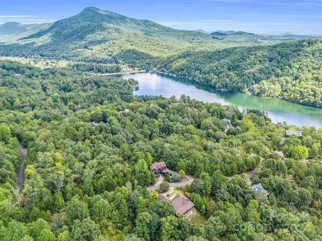 181 Highland Hts, Lake Lure, NC 28746 - aerial view of a forest and a water and mountain view