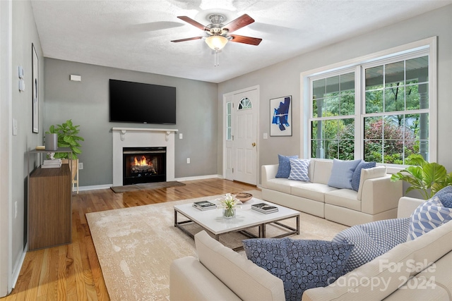 living room with light wood-type flooring, ceiling fan, and a textured ceiling