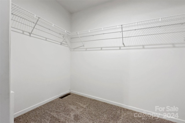 spacious closet with carpet