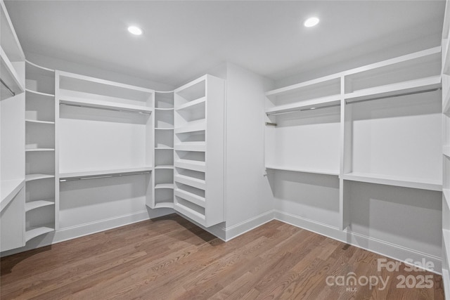 spacious closet with hardwood / wood-style floors