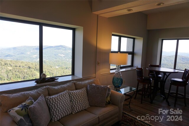 living room featuring a mountain view and plenty of natural light