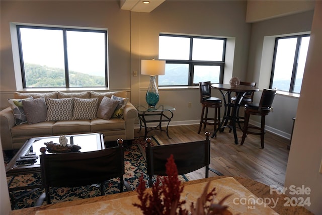 living room featuring hardwood / wood-style flooring and plenty of natural light