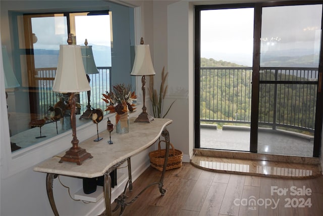 interior space featuring a healthy amount of sunlight and hardwood / wood-style floors