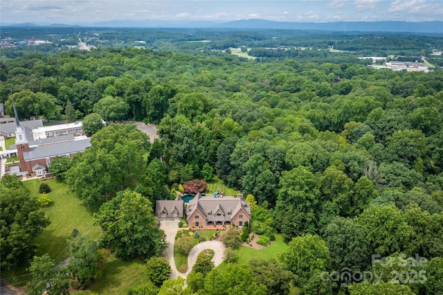 birds eye view of property featuring a mountain view and a wooded view