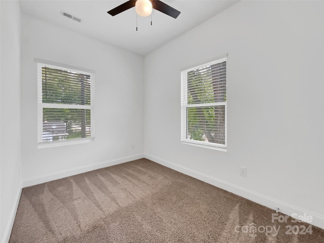 spare room featuring a wealth of natural light, ceiling fan, and carpet floors