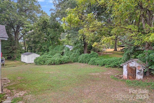 view of yard with a storage shed