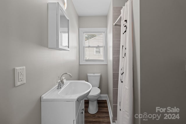 bathroom with wood-type flooring, vanity, and toilet