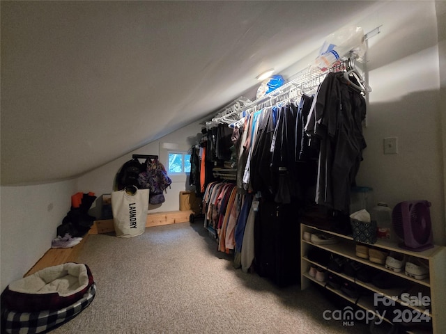 spacious closet featuring carpet and lofted ceiling