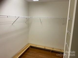 walk in closet featuring dark hardwood / wood-style flooring