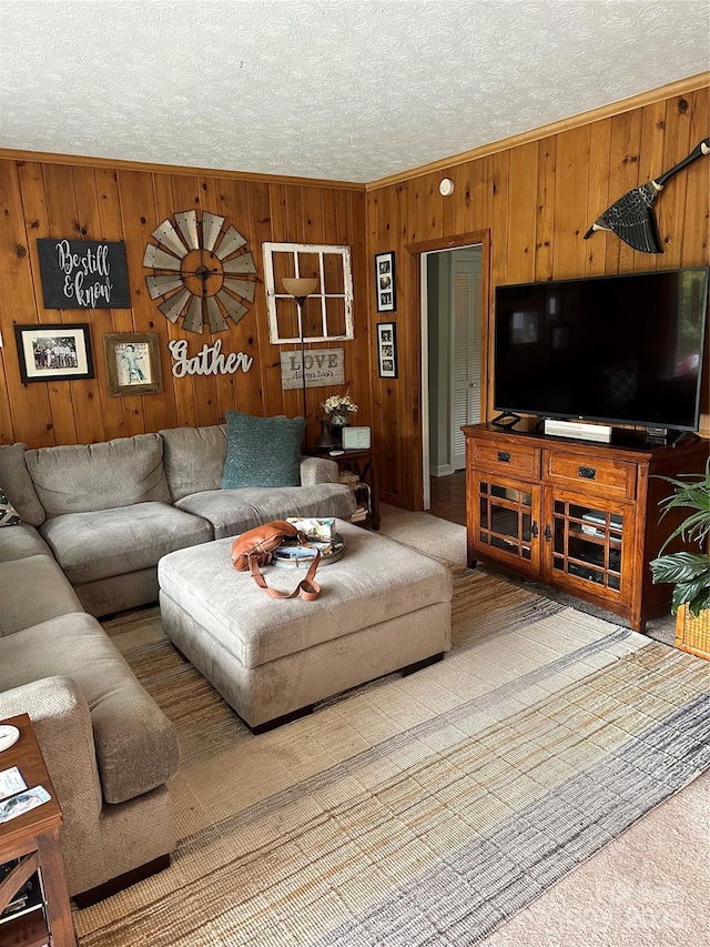 living area with wood walls, crown molding, and a textured ceiling