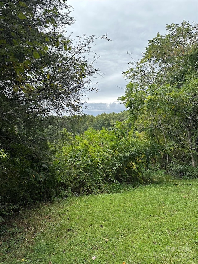 view of yard featuring a forest view