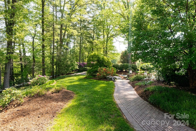 view of home's community featuring a yard