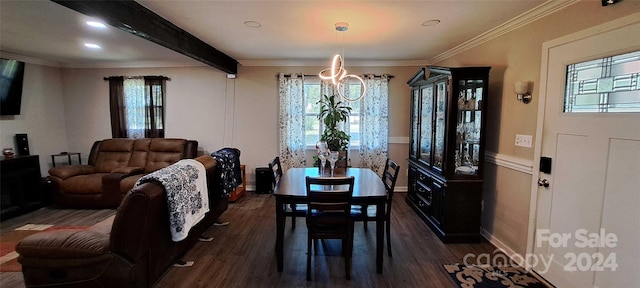 dining area featuring ornamental molding, beam ceiling, dark wood-type flooring, and a wealth of natural light