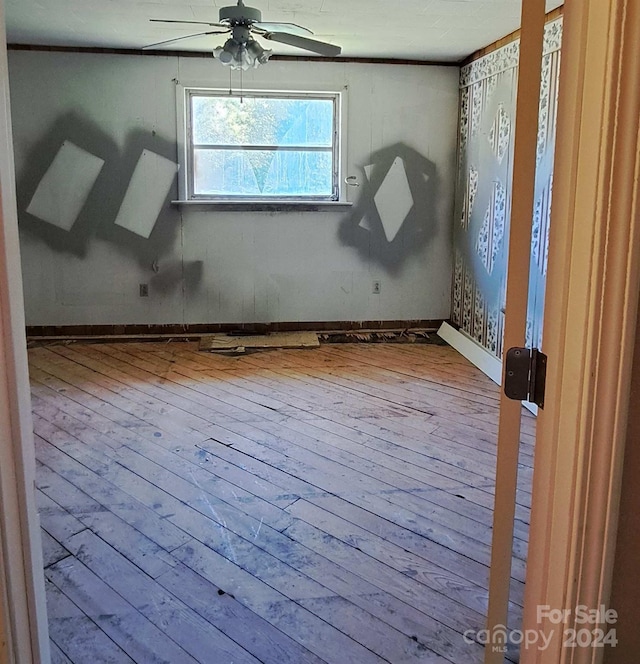 spare room with ceiling fan and light hardwood / wood-style flooring